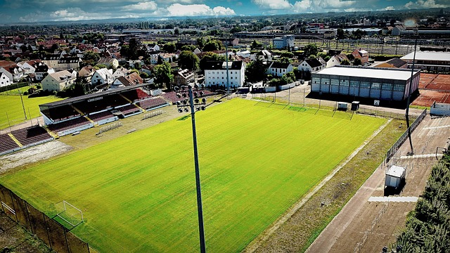 性和默契 性和默契