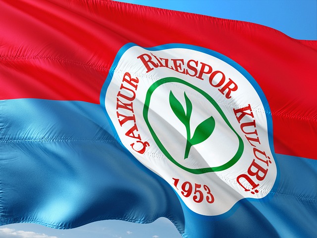 标杆性赛事 标杆性赛事