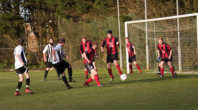 协作精神 协作精神