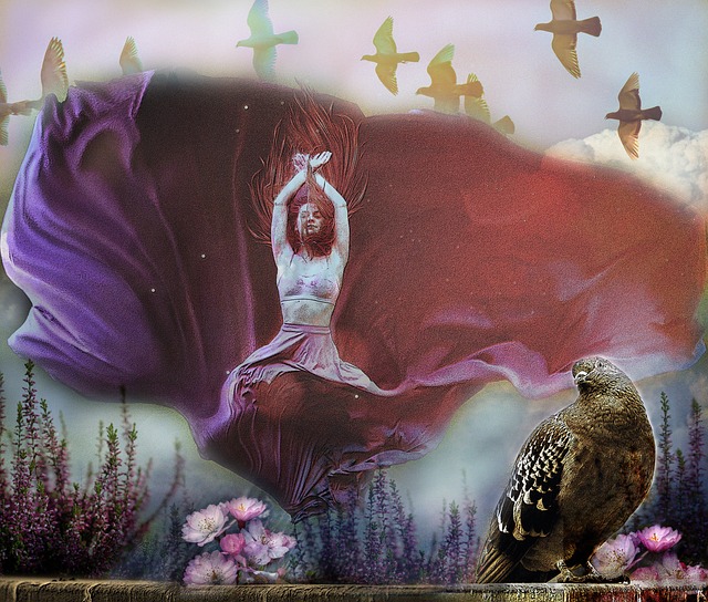 前锋搭档的 前锋搭档的