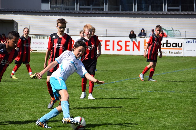 航班安全的 航班安全的