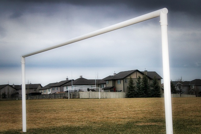 理性讨论国 理性讨论国