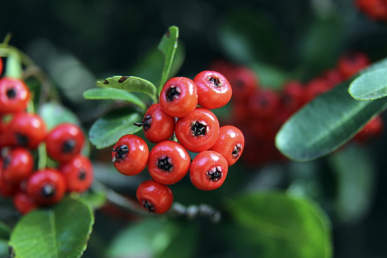 不容易！31岁奥运双冠王陈梦近照曝光，颠覆形象引热议：这才是该追的星.