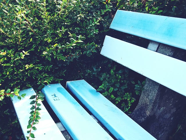 奥斯卡的神 奥斯卡的神