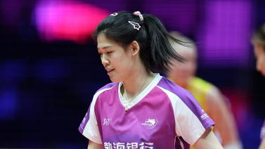 然而在近几 然而在近几